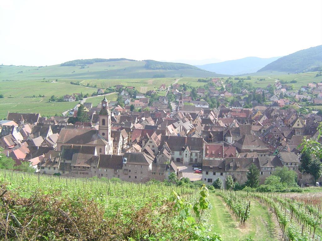 La Maison Vigneronne Olenevka Phòng bức ảnh